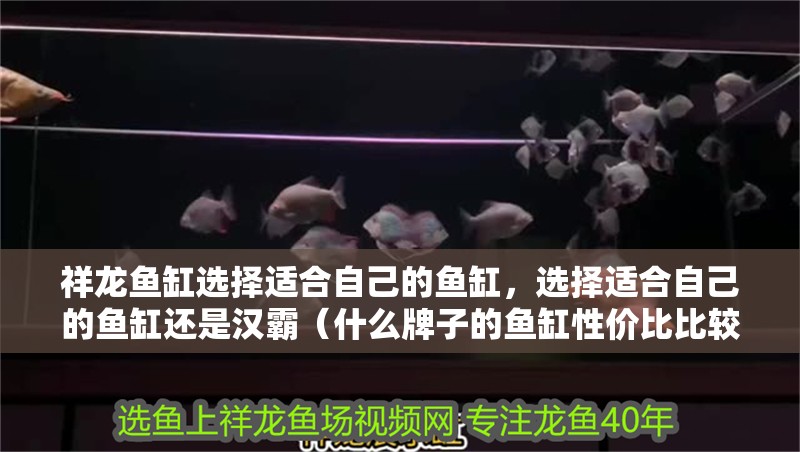 祥龍魚缸選擇適合自己的魚缸，選擇適合自己的魚缸還是漢霸（什么牌子的魚缸性價比比較高）