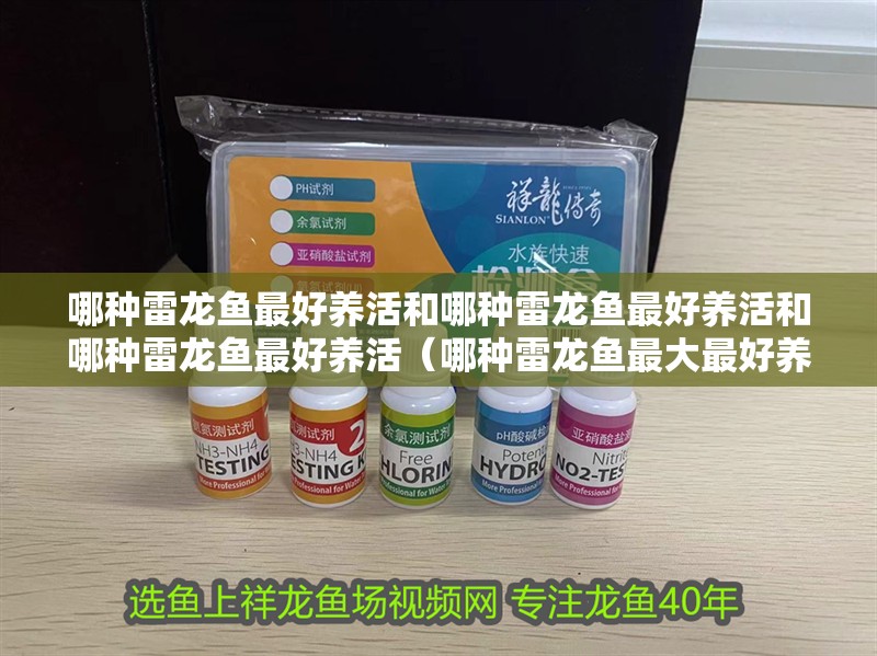 哪種雷龍魚最好養(yǎng)活和哪種雷龍魚最好養(yǎng)活和哪種雷龍魚最好養(yǎng)活（哪種雷龍魚最大最好養(yǎng)活）