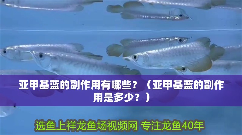 亞甲基藍(lán)的副作用有哪些？（亞甲基藍(lán)的副作用是多少？）