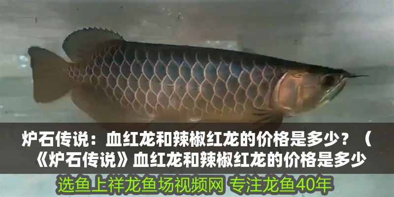 爐石傳說(shuō)：血紅龍和辣椒紅龍的價(jià)格是多少？（《爐石傳說(shuō)》血紅龍和辣椒紅龍的價(jià)格是多少血紅龍和辣椒紅龍的價(jià)格是多少）