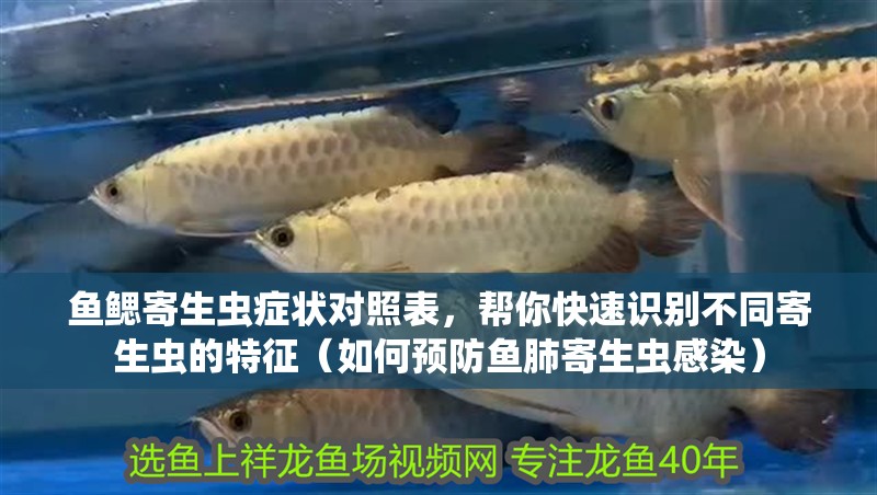 魚鰓寄生蟲癥狀對照表，幫你快速識別不同寄生蟲的特征（如何預防魚肺寄生蟲感染）