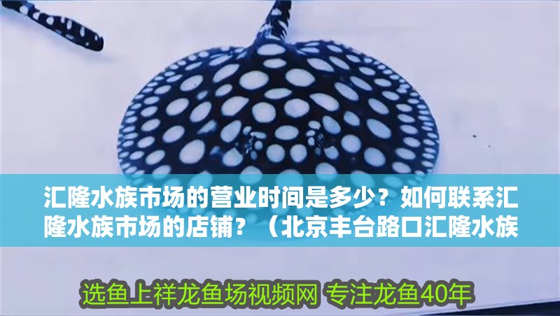 匯隆水族市場的營業(yè)時間是多少？如何聯(lián)系匯隆水族市場的店鋪？（<strong><mark>北京</mark></strong>豐臺路口匯隆水族市場百度地圖-景點）