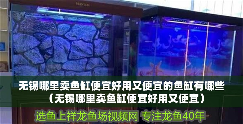 無錫哪里賣魚缸便宜好用又便宜的魚缸有哪些（無錫哪里賣魚缸便宜好用又便宜）