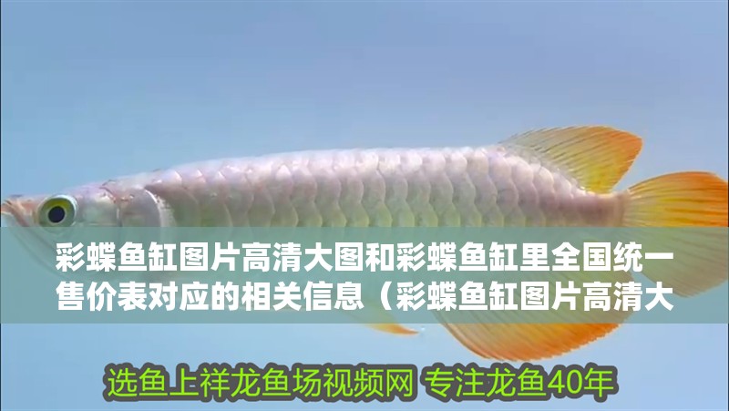 彩蝶魚缸圖片高清大圖和彩蝶魚缸里全國統一售價表對應的相關信息（彩蝶魚缸圖片高清大圖和彩蝶魚缸圖片高清大圖和全國統一售價表）