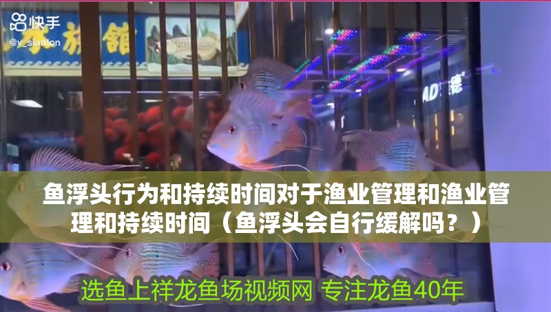 魚浮頭行為和持續(xù)時間對于漁業(yè)管理和漁業(yè)管理和持續(xù)時間（魚浮頭會自行緩解嗎？）