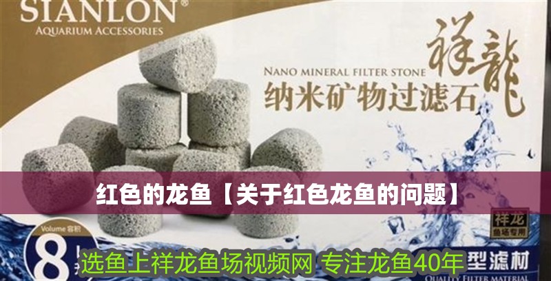 紅色的龍魚【關于紅色龍魚的問題】