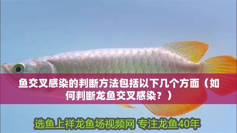 魚(yú)交叉感染的判斷方法包括以下幾個(gè)方面（如何判斷龍魚(yú)交叉感染？）