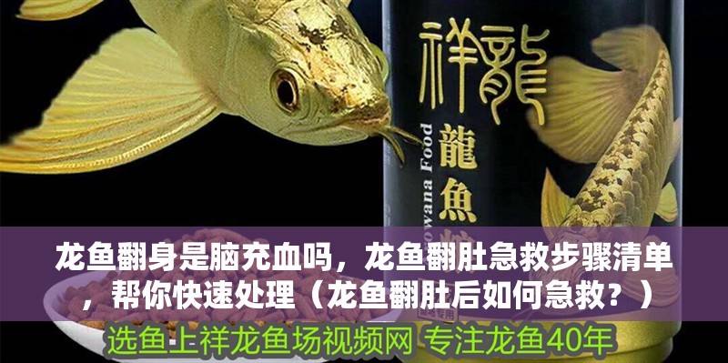 龍魚翻身是腦充血嗎，龍魚翻肚急救步驟清單，幫你快速處理（龍魚翻肚后如何急救？）