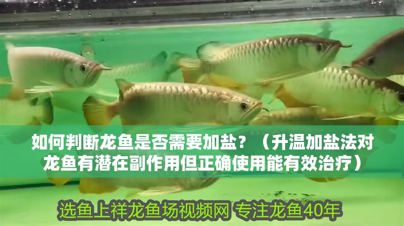 如何判斷龍魚是否需要加鹽？（升溫加鹽法對(duì)龍魚有潛在副作用但正確使用能有效治療）
