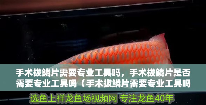 手術拔鱗片需要專業工具嗎，手術拔鱗片是否需要專業工具嗎（手術拔鱗片需要專業工具嗎）