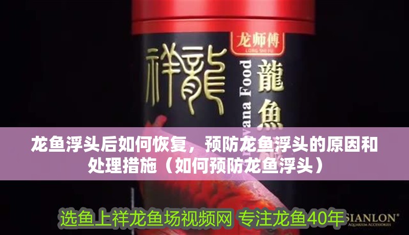 龍魚浮頭后如何恢復(fù)，預(yù)防龍魚浮頭的原因和處理措施（如何預(yù)防龍魚浮頭）