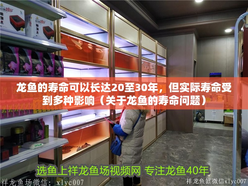 龍魚怕什么 龍魚的壽命可以長達20至30年,但實際壽命受到多種影響(關于龍魚的壽命問題) 龍魚百科 龍魚的壽命可以長達20至30年,但實際壽命受到多種影響(關于龍魚的壽命問題) 龍魚的壽命可以長達20至30年,但實際壽命受到多種影響(關于龍魚的壽命問題) 龍魚百科