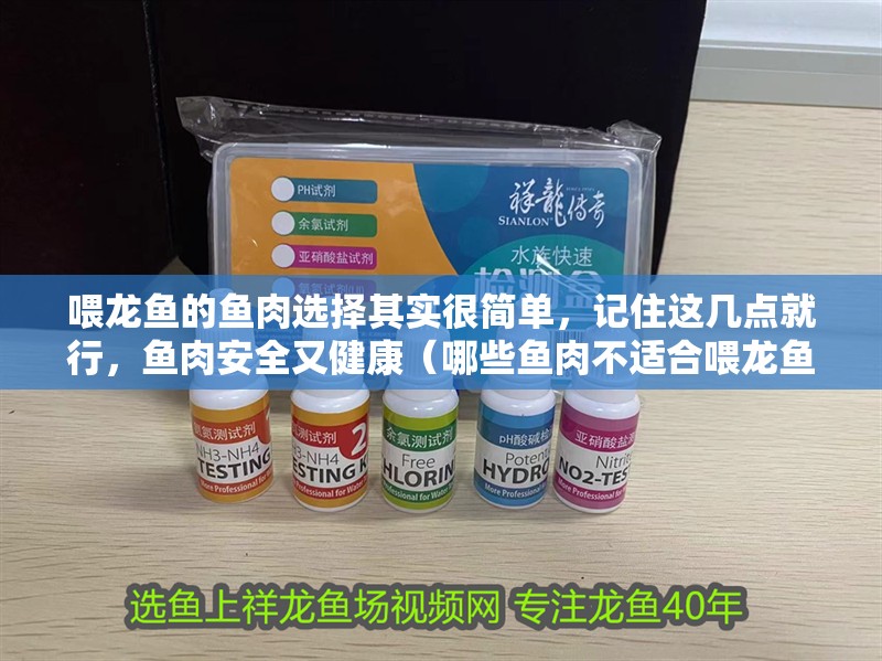 喂龍魚的魚肉選擇其實很簡單，記住這幾點就行，魚肉安全又健康（哪些魚肉不適合喂龍魚？）