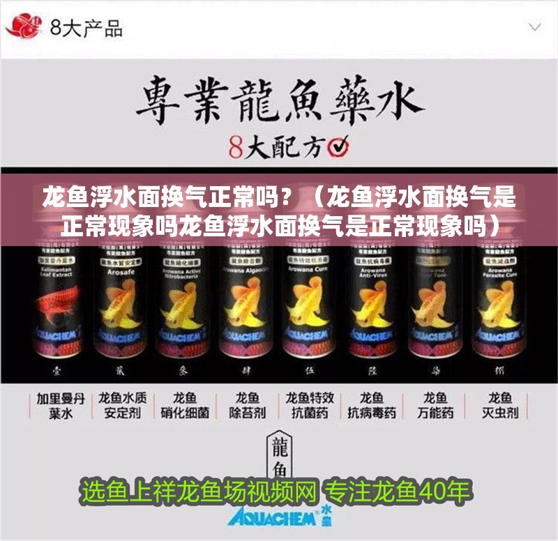 龍魚浮水面換氣正常嗎？（龍魚浮水面換氣是正常現象嗎龍魚浮水面換氣是正常現象嗎）
