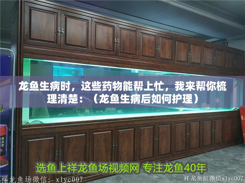 龍魚生病時，這些藥物能幫上忙，我來幫你梳理清楚：（龍魚生病后如何護理）