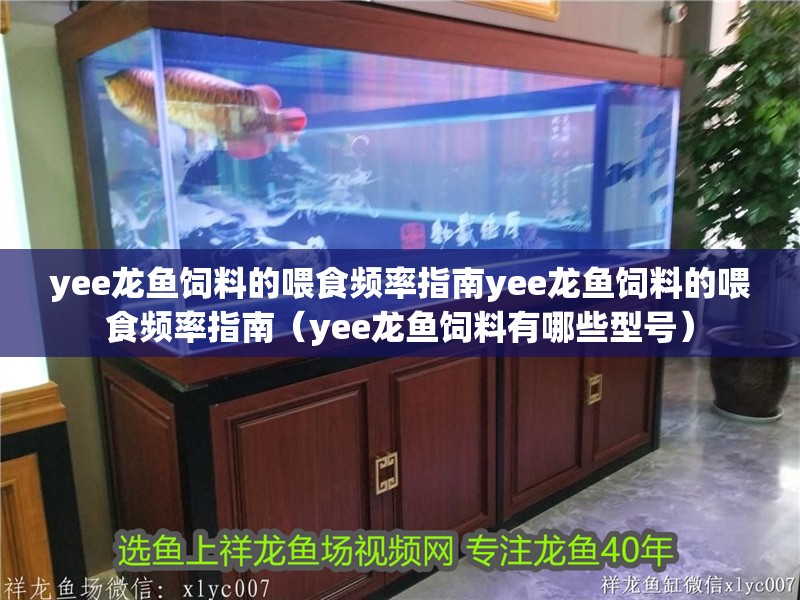 yee龍魚飼料的喂食頻率指南yee龍魚飼料的喂食頻率指南（yee龍魚飼料有哪些型號）