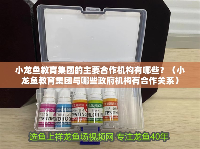 小龍魚教育集團的主要<strong><mark>合作</mark></strong>機構有哪些？（小龍魚教育集團與哪些政府機構有<strong><mark>合作</mark></strong>關系）