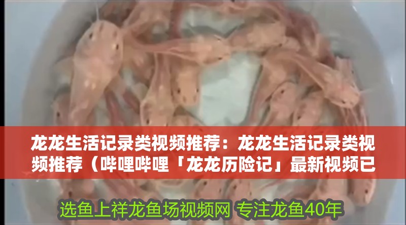 龍龍生活記錄類視頻推薦：龍龍生活記錄類視頻推薦（嗶哩嗶哩「龍龍歷險記」最新視頻已上線,快來圍觀!）