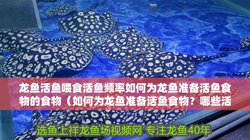 龍魚活魚喂食活魚頻率如何為龍魚準備活魚食物的食物（如何為龍魚準備活魚食物？哪些活魚不適合龍魚食用？）