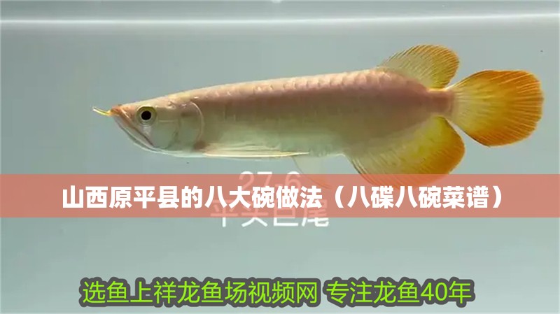 魚缸用增氧泵價格是多少:魚缸增氧機-xtrac增氧機-xtrac增氧機 山西原平縣的八大碗做法(八碟八碗菜譜) 觀賞魚百科 山西原平縣的八大碗做法(八碟八碗菜譜) 山西原平縣的八大碗做法(八碟八碗菜譜) 觀賞魚百科