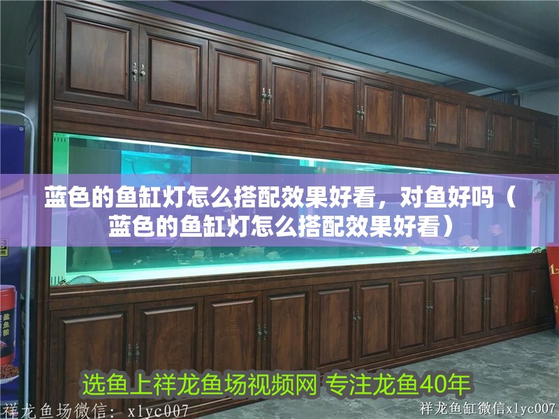 藍(lán)色的魚缸燈怎么搭配效果好看，對(duì)魚好嗎（藍(lán)色的魚缸燈怎么搭配效果好看）