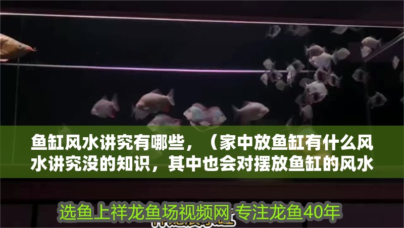 魚缸風水講究有哪些，（家中放魚缸有什么風水講究沒的知識，其中也會對擺放魚缸的風水禁忌）