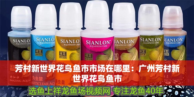 芳村新世界花鳥魚市市場在哪里：廣州芳村新世界花鳥魚市