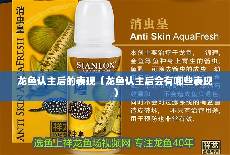 龍魚認主后的表現（龍魚認主后會有哪些表現）