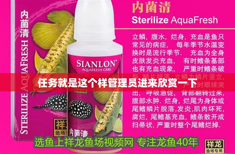 任務就是這個樣管理員進來欣賞一下