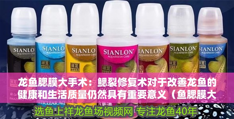 龍魚(yú)腮膜大手術(shù)：鰓裂修復(fù)術(shù)對(duì)于改善龍魚(yú)的健康和生活質(zhì)量仍然具有重要意義（魚(yú)腮膜大手術(shù)鰓裂修復(fù)術(shù)對(duì)于改善龍魚(yú)的健康和生活質(zhì)量仍然具有重要意義）