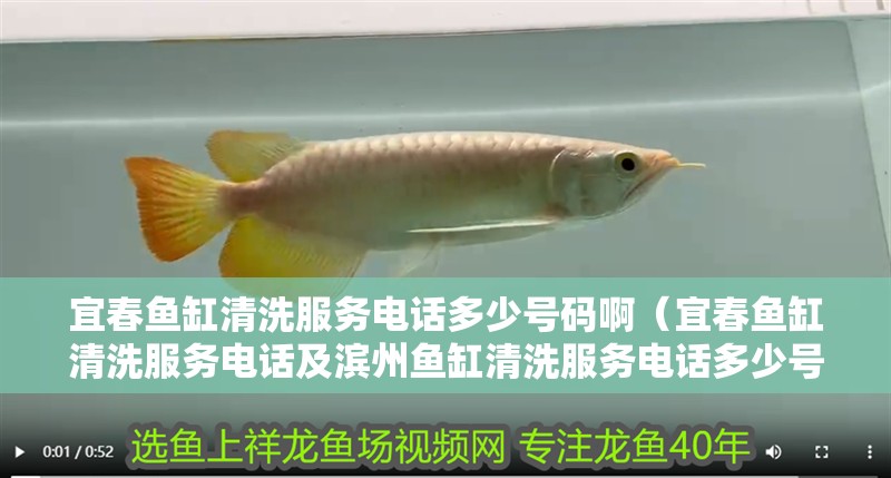 宜春魚缸清洗服務電話多少號碼?。ㄒ舜呼~缸清洗服務電話及濱州魚缸清洗服務電話多少號碼）
