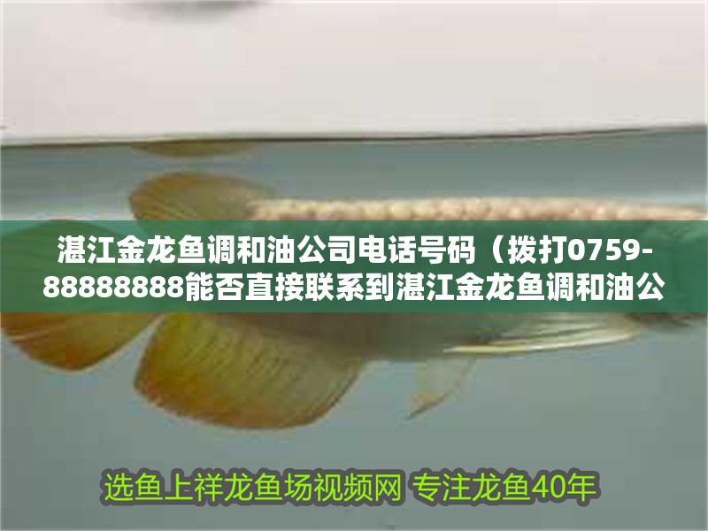 湛江金龍魚調和油公司電話號碼（撥打0759-88888888能否直接聯系到湛江金龍魚調和油公司的客服中心？）