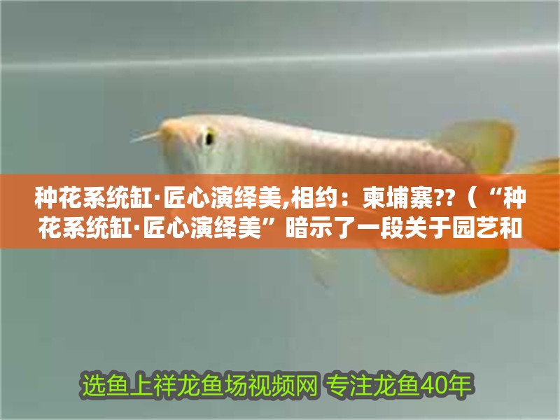 種花系統缸·匠心演繹美,相約：柬埔寨??（“種花系統缸·匠心演繹美”暗示了一段關于園藝和美學的敘述）