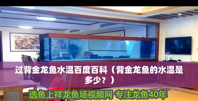 過背金龍魚水溫百度百科（背金龍魚的水溫是多少？）