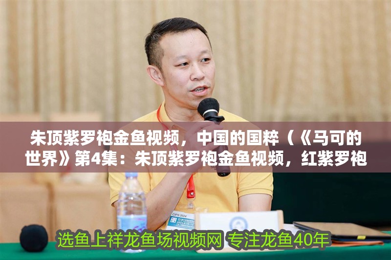 朱頂紫羅袍金魚視頻，中國的國粹（《馬可的世界》第4集：朱頂紫羅袍金魚視頻，紅紫羅袍金魚視頻）
