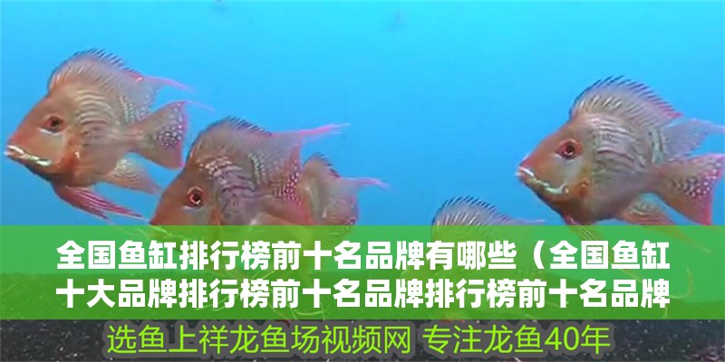全國魚缸排行榜前十名品牌有哪些（全國魚缸十大品牌排行榜前十名品牌排行榜前十名品牌有哪些）