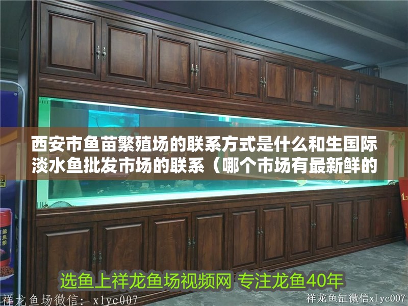 西安市魚苗繁殖場的聯(lián)系方式是什么和生國際淡水魚批發(fā)市場的聯(lián)系（哪個市場有最新鮮的魚苗）