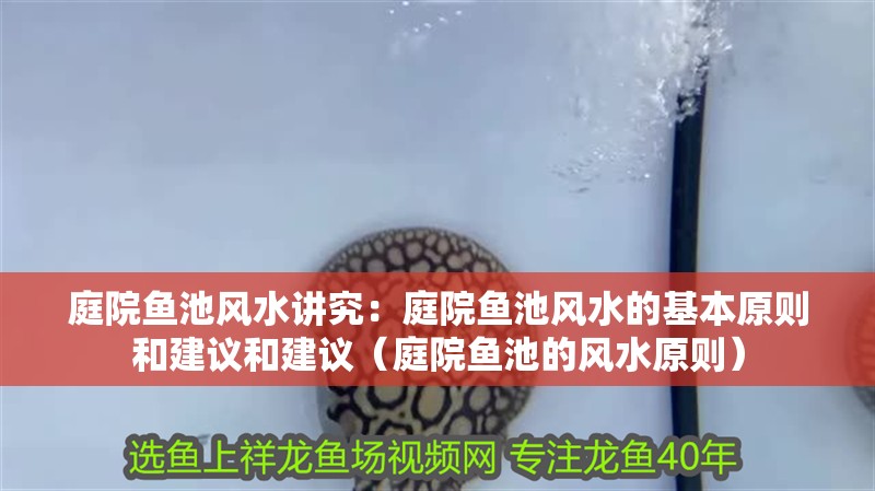 庭院魚池風(fēng)水講究：庭院魚池風(fēng)水的基本原則和建議和建議（庭院魚池的風(fēng)水原則）