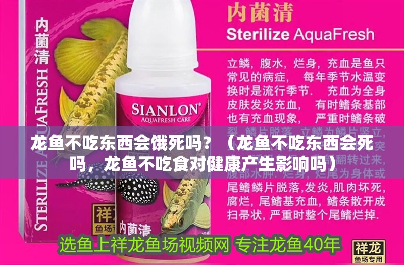 龍魚不吃東西會餓死嗎？（龍魚不吃東西會死嗎，龍魚不吃食對健康產生影響嗎）