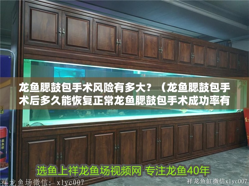 龍魚腮鼓包手術(shù)風(fēng)險有多大？（龍魚腮鼓包手術(shù)后多久能恢復(fù)正常龍魚腮鼓包手術(shù)成功率有多高）