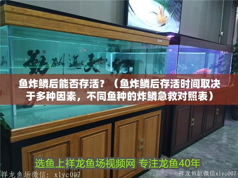 魚炸鱗后能否存活？（魚炸鱗后存活時(shí)間取決于多種因素，不同魚種的炸鱗急救對(duì)照表）