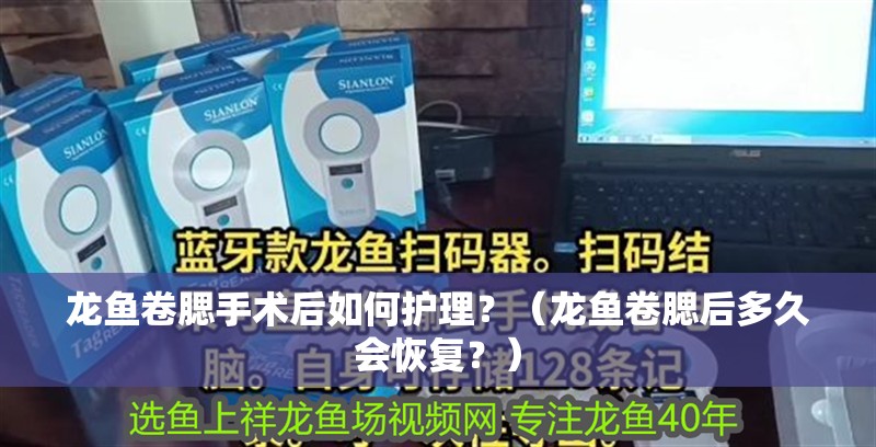 龍魚卷腮手術(shù)后如何護理？（龍魚卷腮后多久會恢復？）