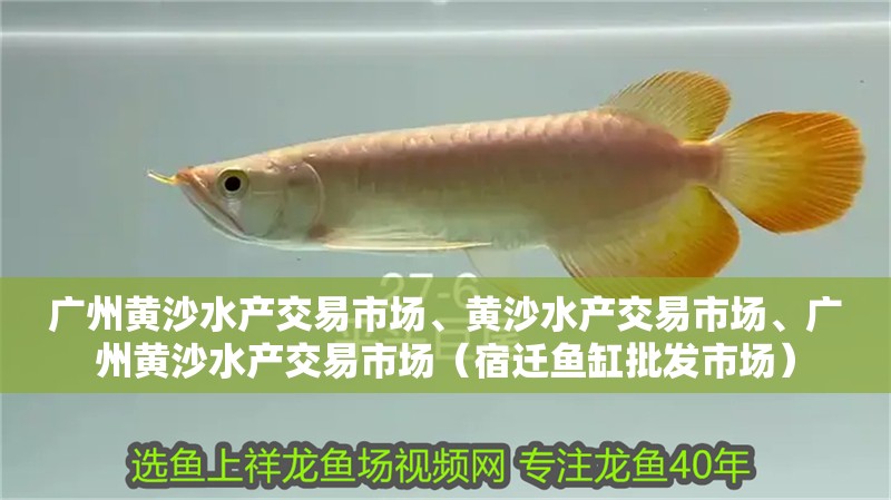 廣州黃沙水產交易市場、黃沙水產交易市場、廣州黃沙水產交易市場（宿遷魚缸批發市場）