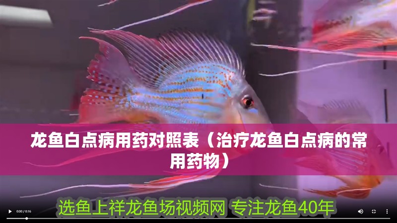 龍魚白點病用藥對照表（治療龍魚白點病的常用藥物）