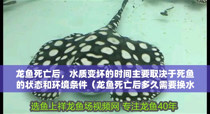 龍魚死亡后，水質(zhì)變壞的時間主要取決于死魚的狀態(tài)和環(huán)境條件（龍魚死亡后多久需要換水？）