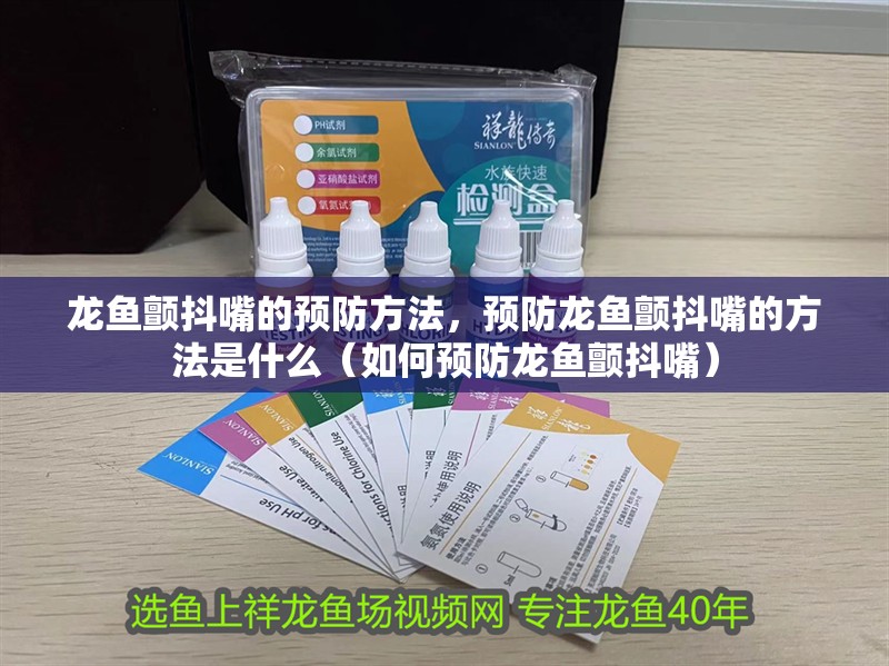 龍魚顫抖嘴的預(yù)防方法，預(yù)防龍魚顫抖嘴的方法是什么（如何預(yù)防龍魚顫抖嘴）