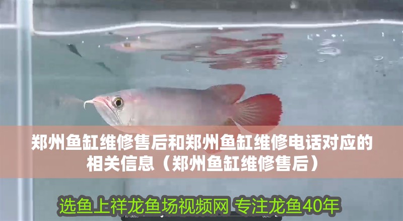 鄭州魚缸維修售后和鄭州魚缸維修電話對應的相關信息（鄭州魚缸維修售后）