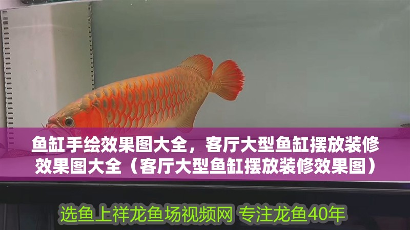魚缸手繪效果圖大全，客廳大型魚缸擺放裝修效果圖大全（客廳大型魚缸擺放裝修效果圖）