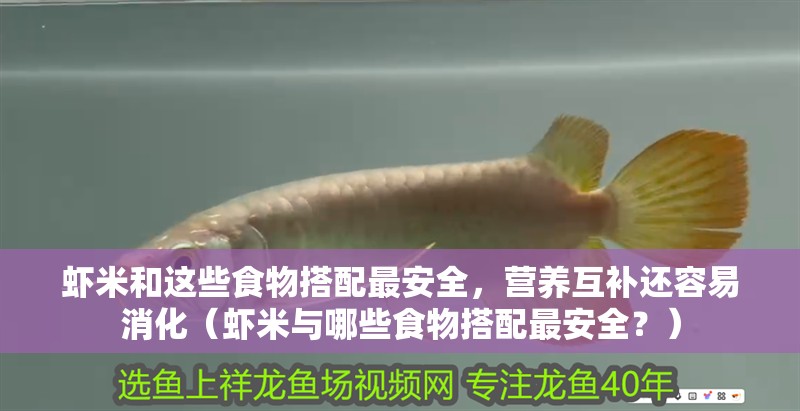 蝦米和這些食物搭配最安全，營養互補還容易消化（蝦米與哪些食物搭配最安全？）