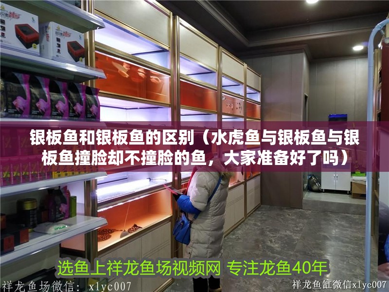 銀板魚和銀板魚的區別（水虎魚與銀板魚與銀板魚撞臉卻不撞臉的魚，大家準備好了嗎）